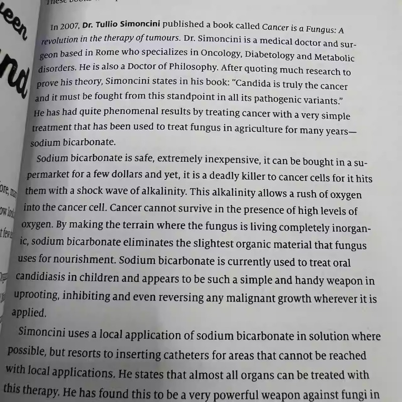 《Self Heal By Design》Sustainab - Renewable Energy Handbook recensione e prezzo